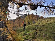 40 In salita dal Monte Colle (1750 m) al soprastante Passo di Monte Colle (1938 m)